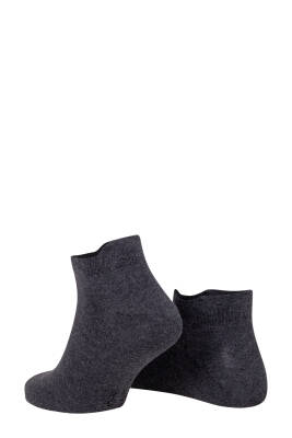 Bambu Patik Çorap - Antrasit - 4